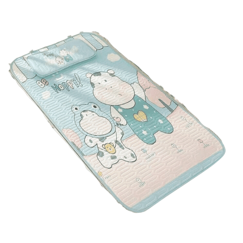 Bộ chiếu gối điều hòa cao cấp