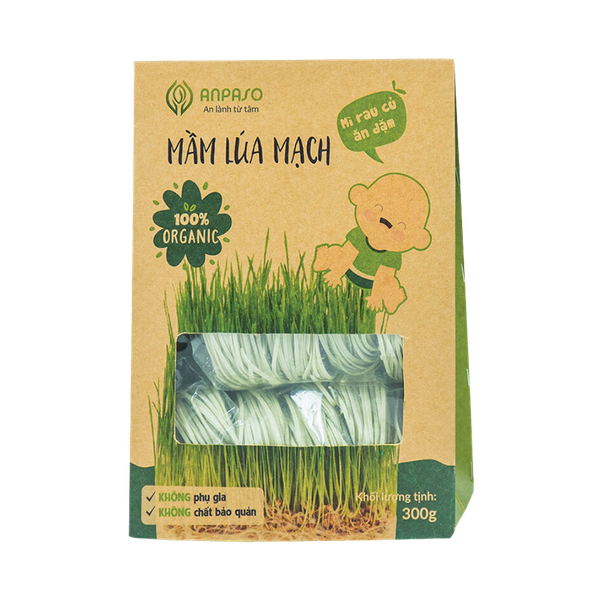 Mì ăn dặm Organic mầm lúa mạch ANPASO 300g
