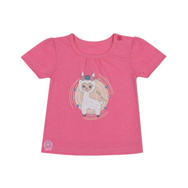 Áo màu gái TN 1180 HB s5-6