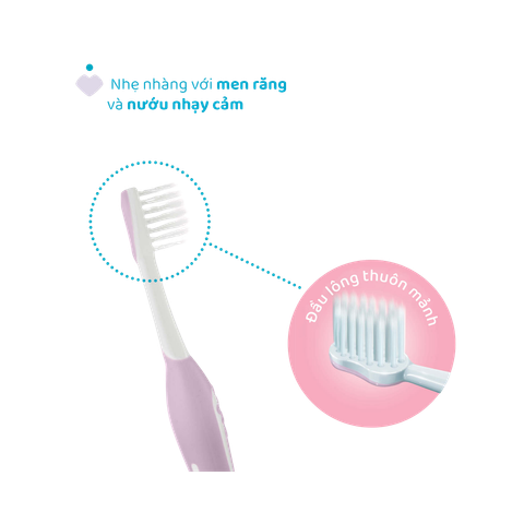 Bàn chải đánh răng tím hồng Chicco 6-36m