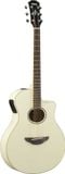  Đàn Guitar Acoustic Yamaha APX600 