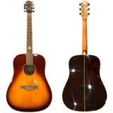  Đàn Guitar Acoustic Tagima EQ 
