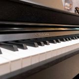  Đàn Piano Điện Apollo DP-260 