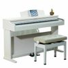  Đàn Piano Điện Apollo DP-66 