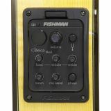  Bộ EQ Đàn Guitar Fishman Clasica Blend CLA-301 