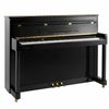  Đàn Piano Điện Apollo Ru-8 