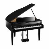  Đàn Piano Điện Tử Yamaha CLP-895G 