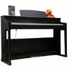  Đàn Piano Điện Apollo DP-260 