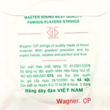  Dây Đàn Guitar Điện Việt Nam 