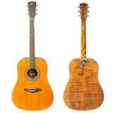  Đàn Guitar Acoustic Eko Ranger VI VR 