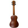  Đàn Ukulele Concert 24 Inch Andrew S1 