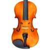  Đàn Violin 4/4 VT-56B 