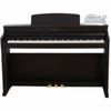  Đàn Piano Điện Apollo DP-260N 