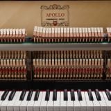  Đàn Piano Điện Apollo Ru-8 