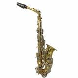  Kèn Saxophone Alto J.Michael Japanese Technology 
