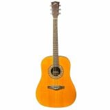  Đàn Guitar Acoustic Eko Ranger VI VR 