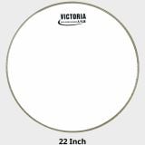  Mặt Trống Dàn Victoria Trắng (8",10",11",12",13",14",16",18",20",22",28") 