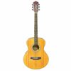  Đàn Guitar Acoustic Fenix FG-100 