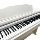  Đàn Piano Điện Apollo DP-66 