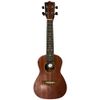  Đàn Ukulele Concert 24 Inch Andrew S1 