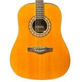  Đàn Guitar Acoustic Eko Ranger VI VR 