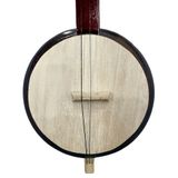  Đàn Tính Tẩu Việt Nam 