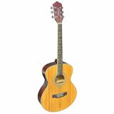  Đàn Guitar Acoustic Fenix FG-100 