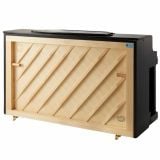  Đàn Piano Điện Apollo AU50 
