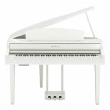  Đàn Piano Điện Tử Yamaha CLP-765GP 