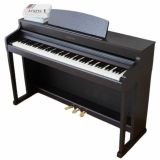  Đàn Piano Điện Apollo DP-260N 