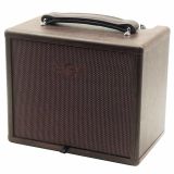  Loa Amplifier Guitar Acoustic Di Động 40W Kết Nối Không Dây AGA SC-X3P 