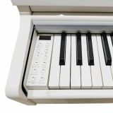  Đàn Piano Điện Apollo DP-66 