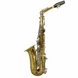  Kèn Saxophone Alto J.Michael Japanese Technology 