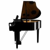  Đàn Piano Điện Tử Yamaha CLP-895G 
