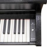 Đàn Piano Điện Apollo DP-260 