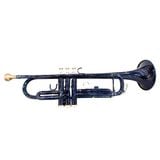  Kèn Trumpet Victoria VTR-568EX 