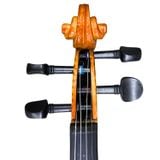  Đàn Violin 4/4 VT-56B 