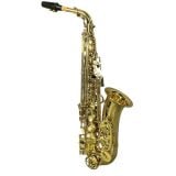  Kèn Saxophone Alto Yanagisawa 