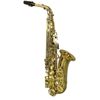  Kèn Saxophone Alto Yanagisawa 