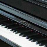  Đàn Piano Điện Apollo KP-88 
