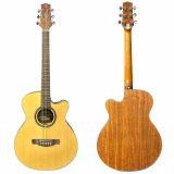  Đàn Guitar Acoustic Magna M-80C 