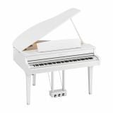  Đàn Piano Điện Tử Yamaha CLP-895G 