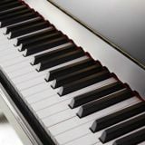  Đàn Piano Điện Apollo Ru-8 