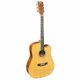  Đàn Guitar Acoustic Washburn VT-25 