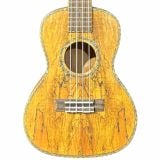  Đàn ukulele Concert 24 Inch Victoria Gỗ Cẩm Lai 