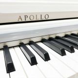  Đàn Piano Điện Apollo DP-66 