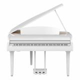  Đàn Piano Điện Tử Yamaha CLP-795GP 