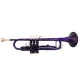  Kèn Trumpet Victoria VTR-568EX 