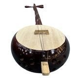  Đàn Tính Tẩu Việt Nam 