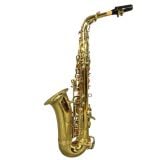  Kèn Saxophone Alto Yanagisawa 